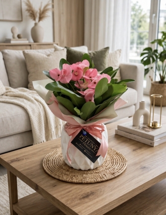 Euphorbia Milii