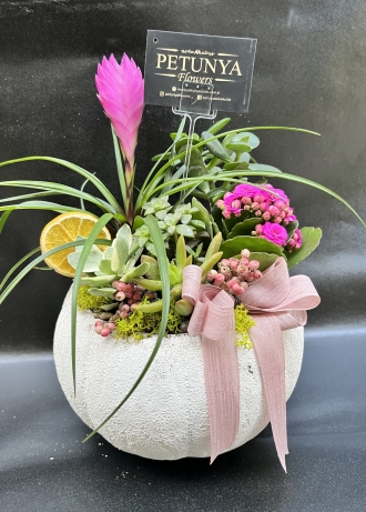 Ayaklı Seramikte Teraryum