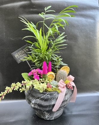 Ayaklı Seramikte Teraryum