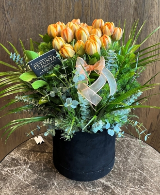 Orange Tulips